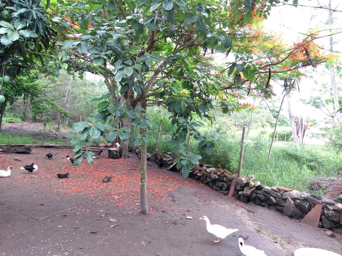Villa Casa Da Mamae Barra de São João Esterno foto